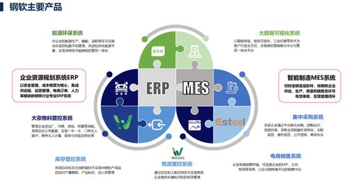 上海軟件開發(fā) 機(jī)遇、挑戰(zhàn)與未來展望